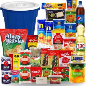 canasta navideña familiar con productos básicos para el hogar en contenedor plástico